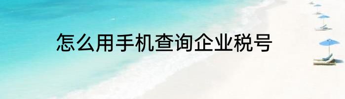 怎么用手机查询企业税号