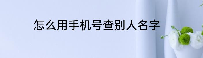 怎么用手机号查别人名字