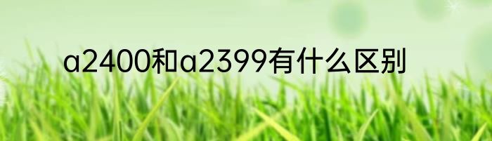 a2400和a2399有什么区别