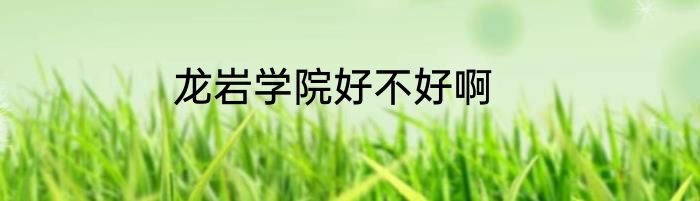 龙岩学院好不好啊