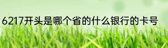 6217开头是哪个省的什么银行的卡号