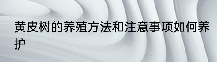 黄皮树的养殖方法和注意事项如何养护