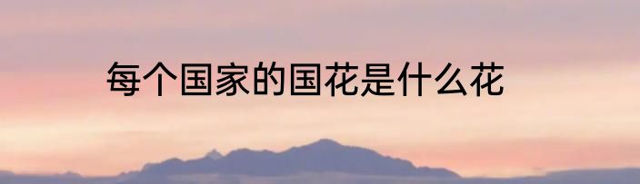每个国家的国花是什么花