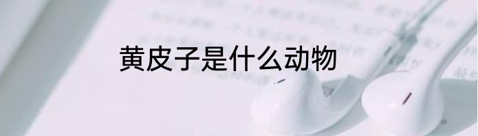 黄皮子是什么动物