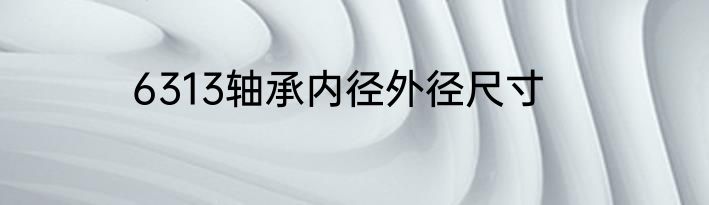 6313轴承内径外径尺寸