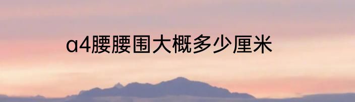 a4腰腰围大概多少厘米