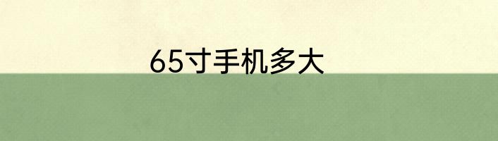 65寸手机多大