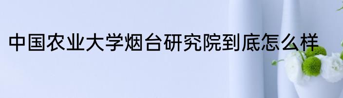 中国农业大学烟台研究院到底怎么样