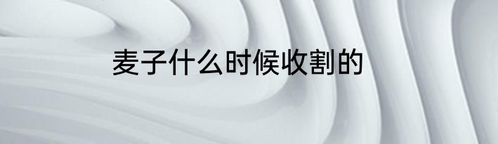 麦子什么时候收割的