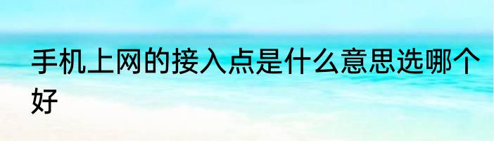 手机上网的接入点是什么意思选哪个好