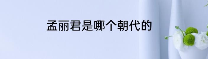 孟丽君是哪个朝代的