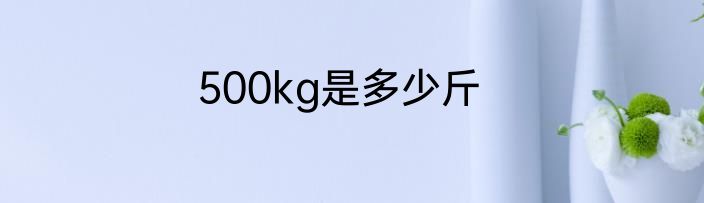 500kg是多少斤