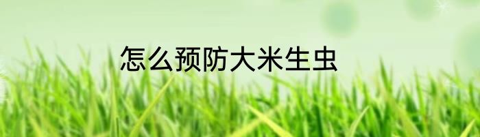 怎么预防大米生虫