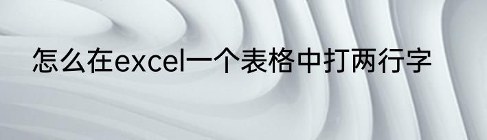 怎么在excel一个表格中打两行字