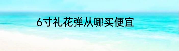 6寸礼花弹从哪买便宜