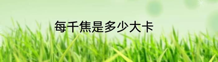 每千焦是多少大卡