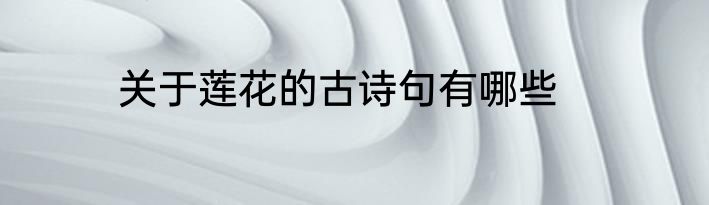 关于莲花的古诗句有哪些