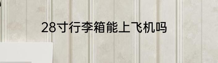 28寸行李箱能上飞机吗