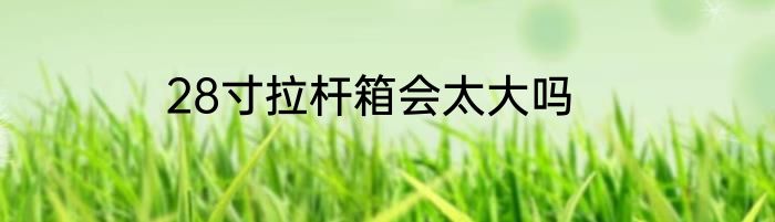 28寸拉杆箱会太大吗