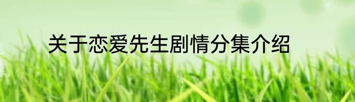 关于恋爱先生剧情分集介绍