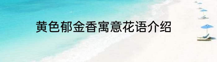 黄色郁金香寓意花语介绍