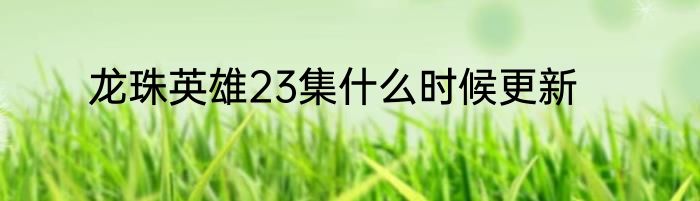 龙珠英雄23集什么时候更新