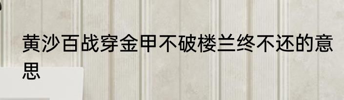黄沙百战穿金甲不破楼兰终不还的意思
