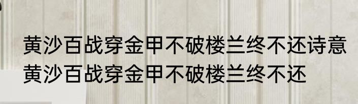 黄沙百战穿金甲不破楼兰终不还诗意黄沙百战穿金甲不破楼兰终不还