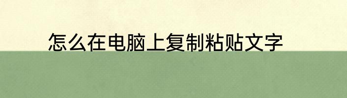 怎么在电脑上复制粘贴文字
