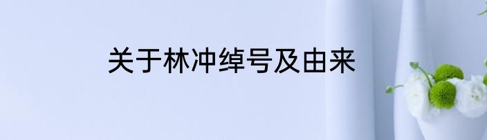 关于林冲绰号及由来