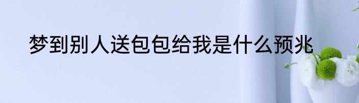 梦到别人送包包给我是什么预兆