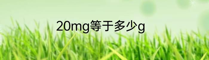 20mg等于多少g