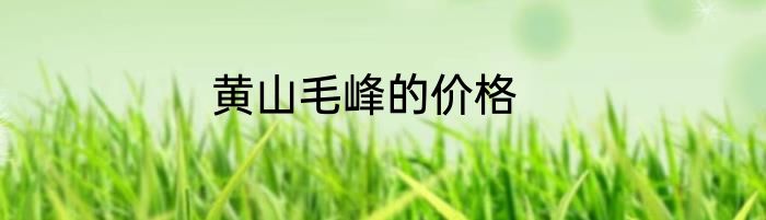 黄山毛峰的价格