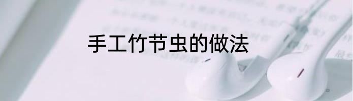 手工竹节虫的做法