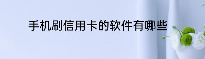 手机刷信用卡的软件有哪些
