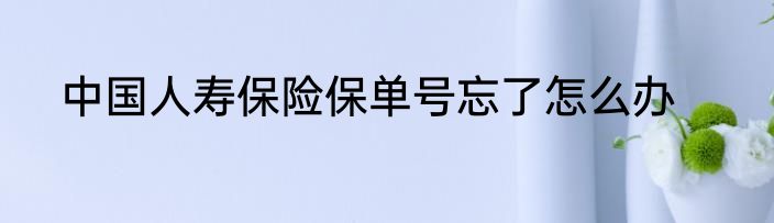 中国人寿保险保单号忘了怎么办