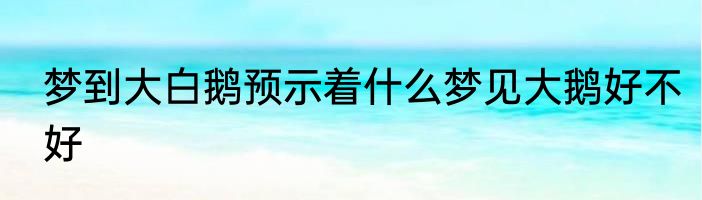 梦到大白鹅预示着什么梦见大鹅好不好
