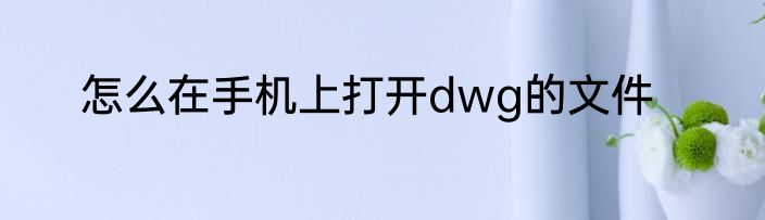 怎么在手机上打开dwg的文件