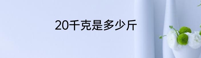 20千克是多少斤