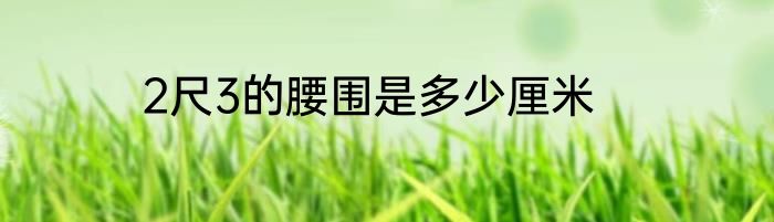 2尺3的腰围是多少厘米