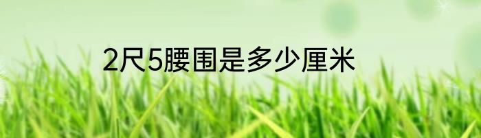2尺5腰围是多少厘米