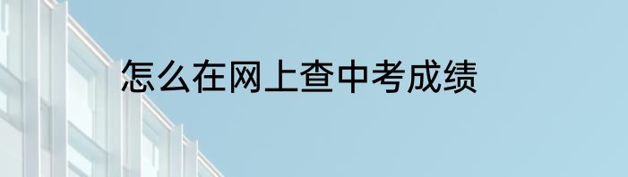 怎么在网上查中考成绩