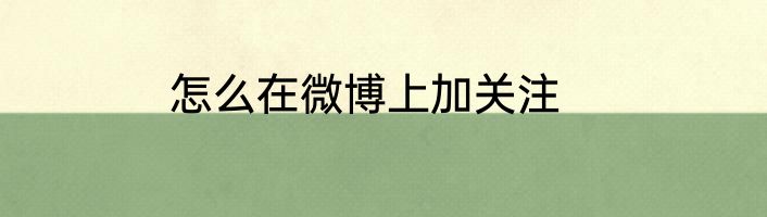 怎么在微博上加关注