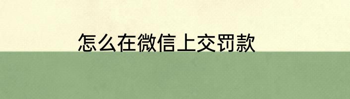 怎么在微信上交罚款