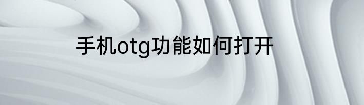 手机otg功能如何打开