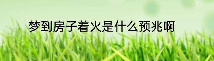 梦到房子着火是什么预兆啊