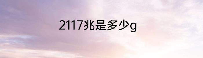 2117兆是多少g