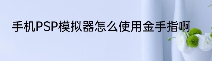 手机PSP模拟器怎么使用金手指啊