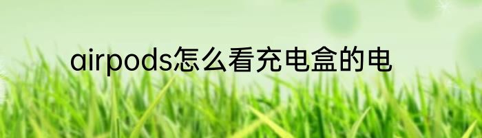 airpods怎么看充电盒的电