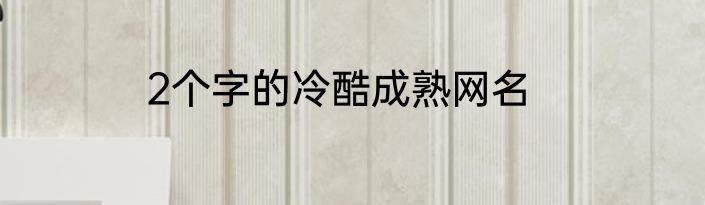 2个字的冷酷成熟网名